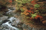 中津川渓谷　nakatugawa glen valley bottom06